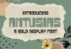 Antusias Bold Display Font