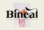 Bincal Ligature Serif Typeface Font