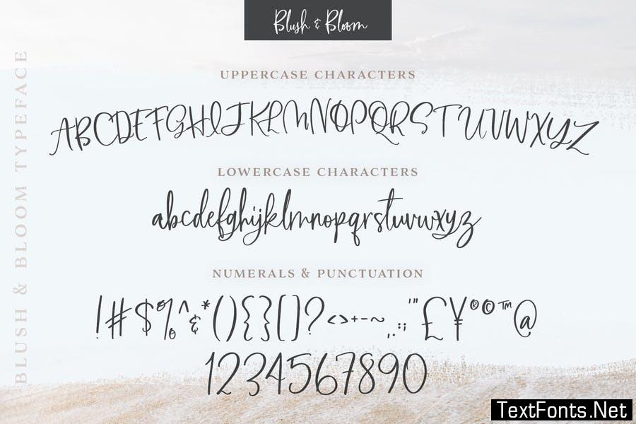 Blush & Bloom Script Font