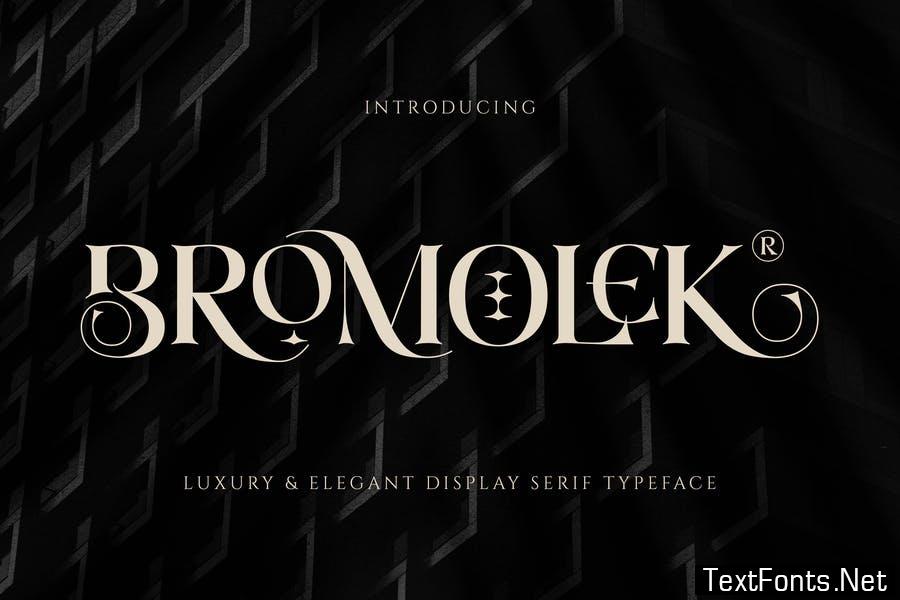 Bromolek - Luxury & Elegant Ligatures Serif Font