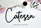 Catessa Monoline Typeface Font