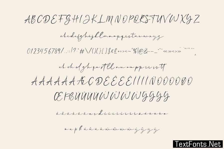 Delicate script font