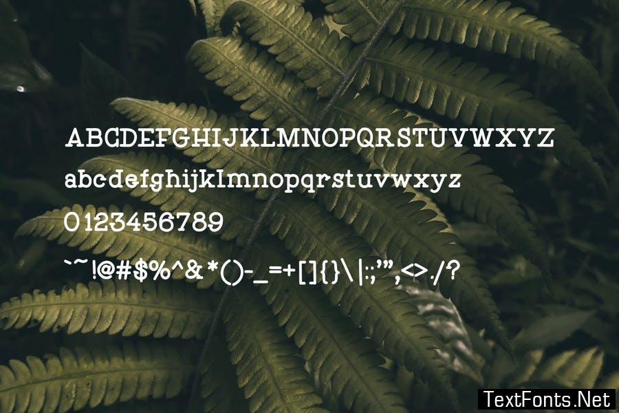 Gedrik Serif Typeface Font
