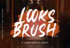 Looks Brush - Hand Brush Font