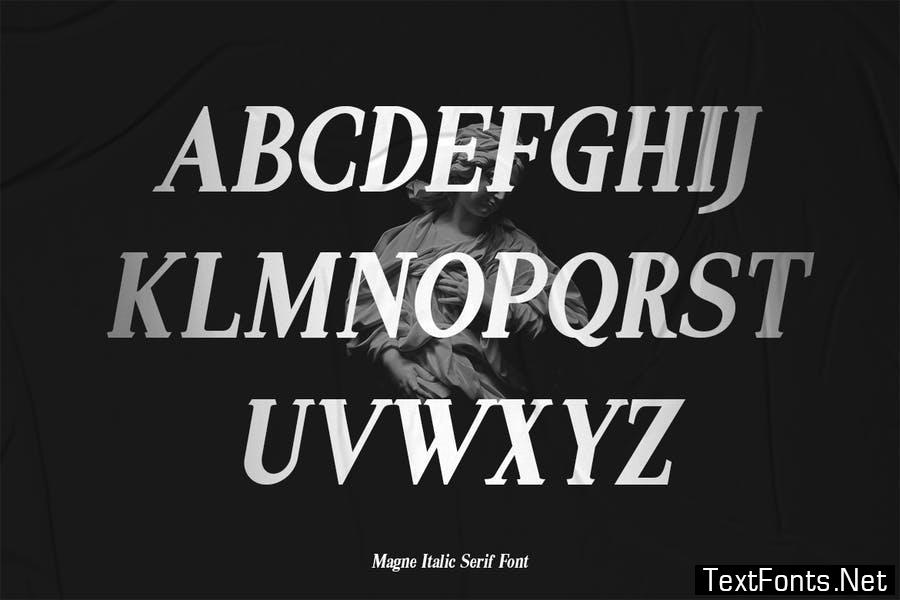 Magne Italic - Bold Serif Font