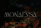 Monalysa - Unique Modern Display Sans Serif Font