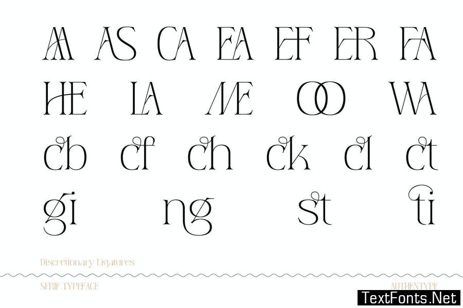 Reging - Serif Typeface Font