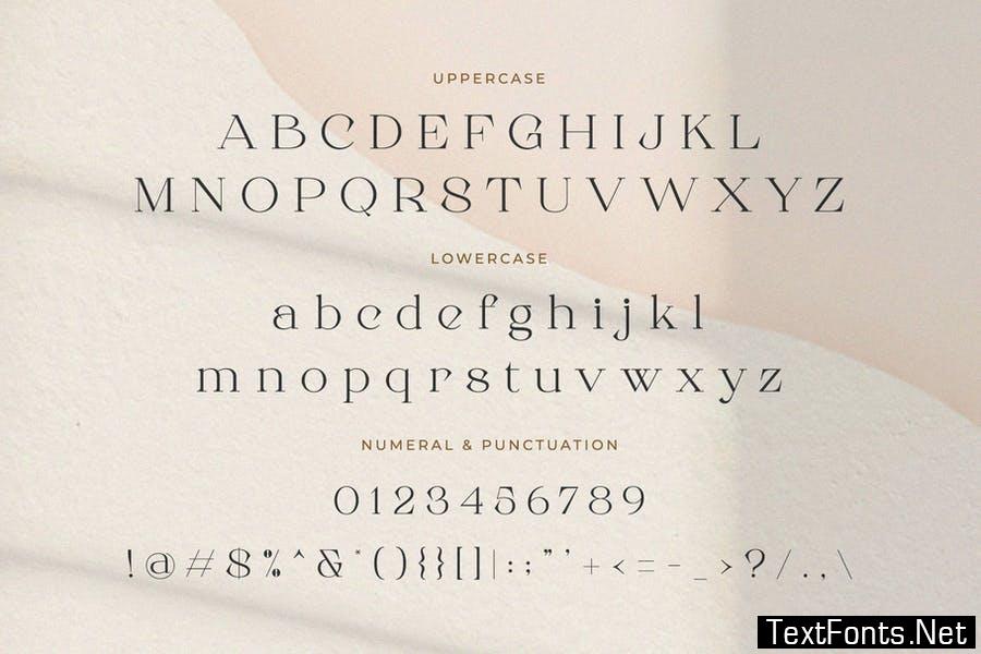 Roman Sophisticated Serif Font