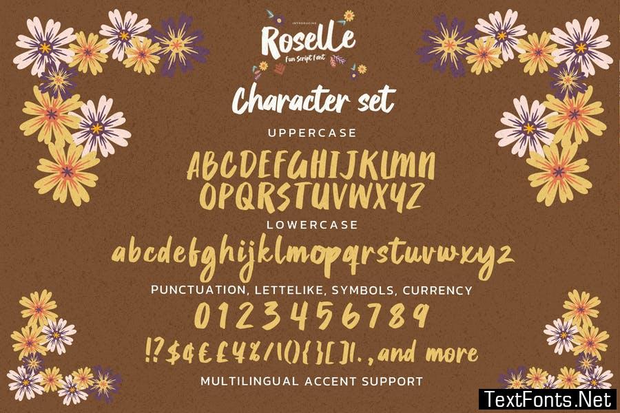 Roselle - Fun Script Font