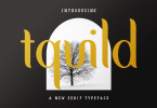 Tquild - Serif Font