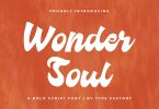 Wonder Soul – Bold Script Typeface Font