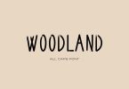 Woodland Handlettered Font