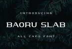 Baoru Slab Font