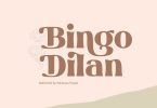 Bingo Dilan - Logo Font