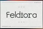 Feldiora - Monospace Font