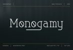 Monogamy - Modern Monospace Font