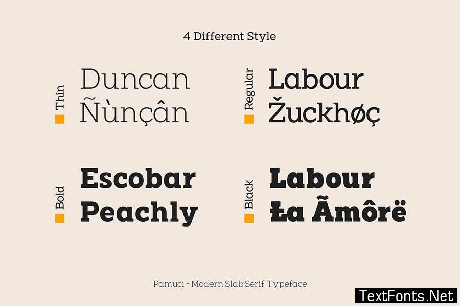 Pamuci - Modern Slab Serif Typeface Font