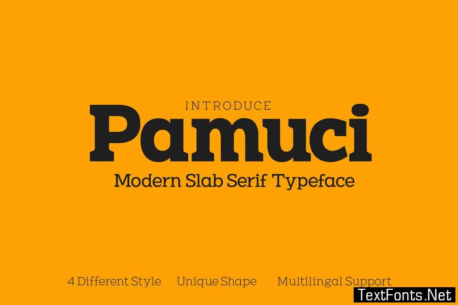 Pamuci - Modern Slab Serif Typeface Font