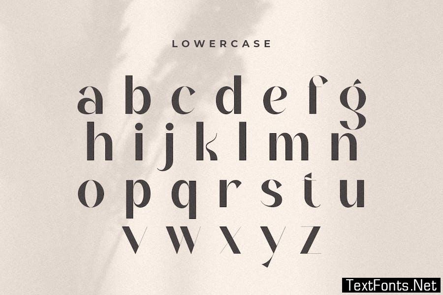 Aldora - Modern Display Font