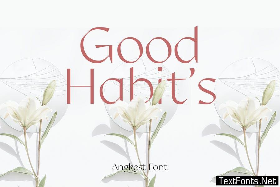 Angkest - Elegant Display Sans Font