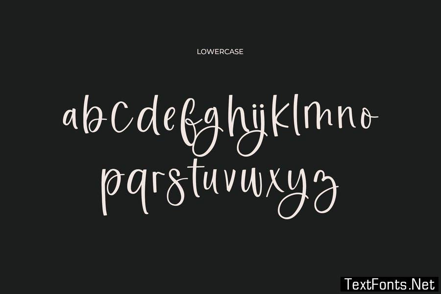 Beast Stairways Calligraphy Font