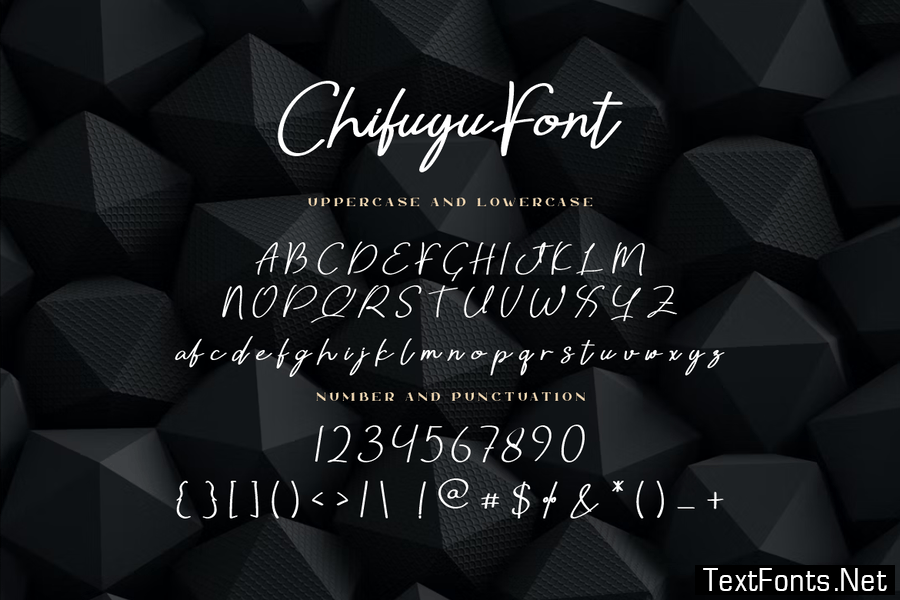Chifuyu Signature Font