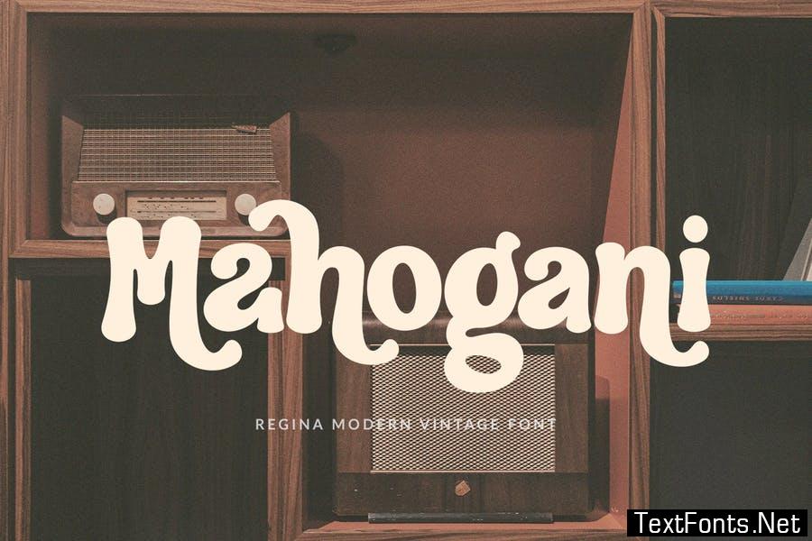 Regina - Modern Vintage Font