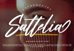 Sattelia | Modern Script Font
