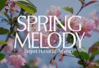 Spring Melody - Humanist Typeface Font
