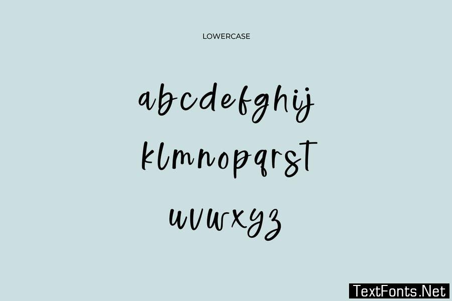 Wisdom Vacation Calligraphy Font