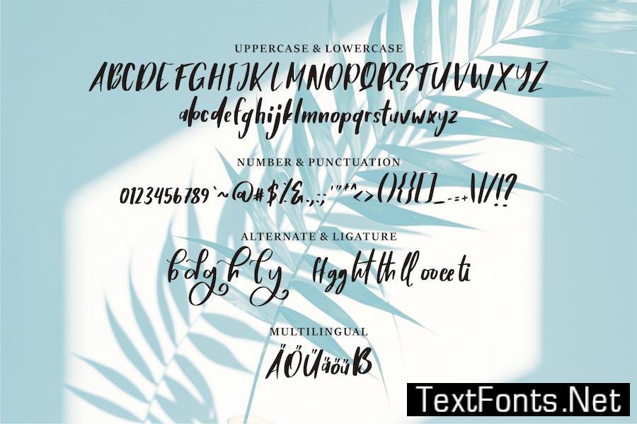 Brigal | A Beauty Script Font