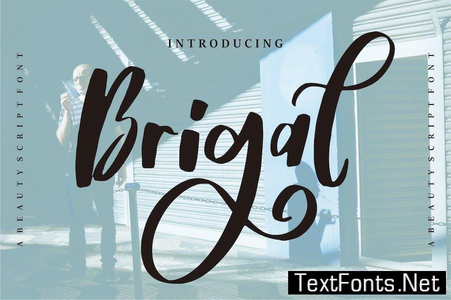 Brigal | A Beauty Script Font