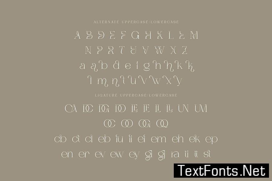Dagstam - Artistic Serif Font