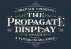 Propagate - Vintage Serif Font