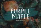 Purple Maple Font