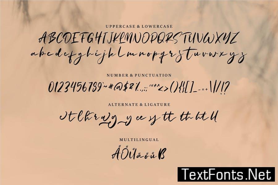 Masita | A Masculine Script Font