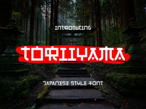 Toriiyama - Japanese Style Font