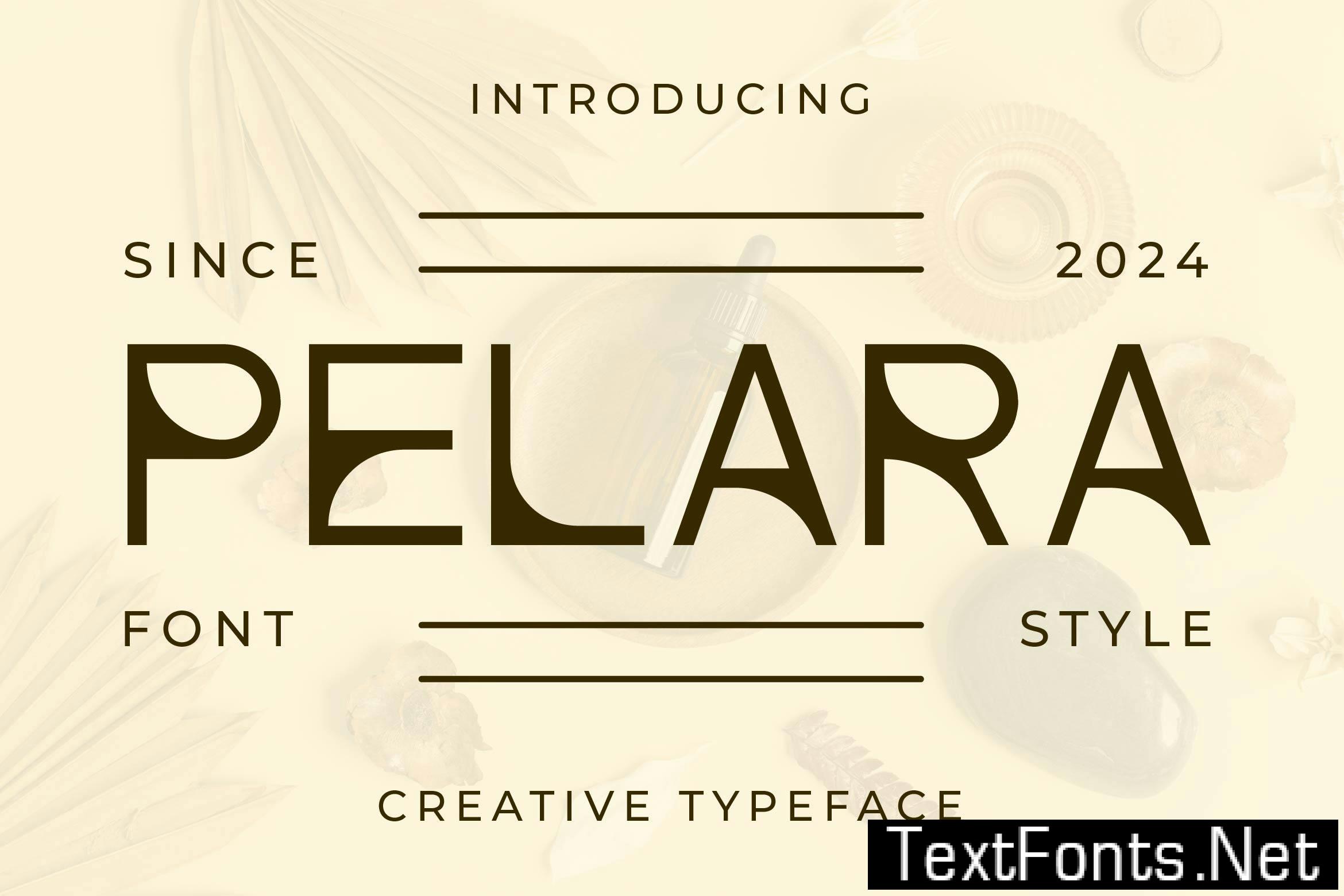 Pelara - Creative Elegant Typeface EQ3QQC4