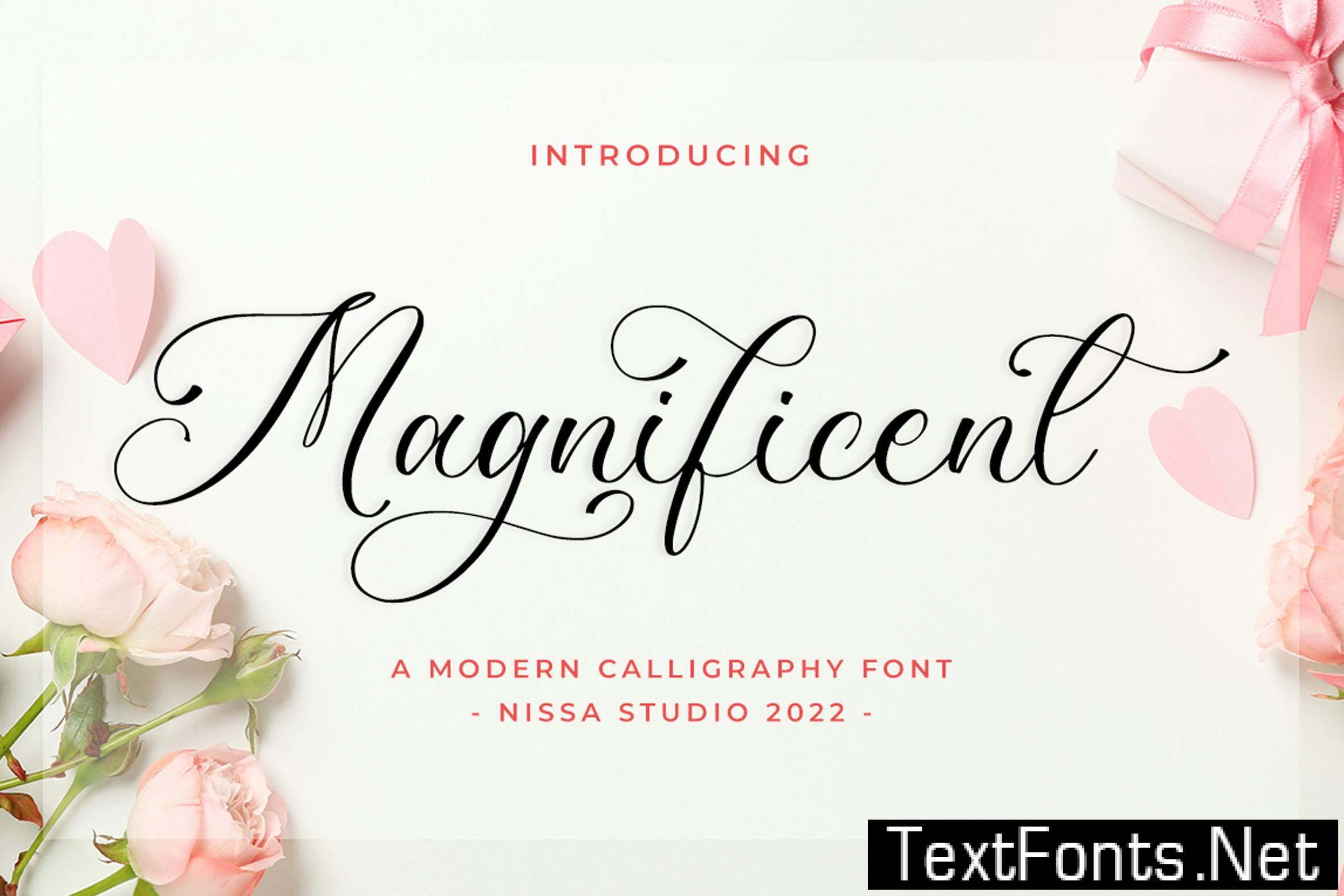 Magnificent - Lovely Script Font N2L6AHF