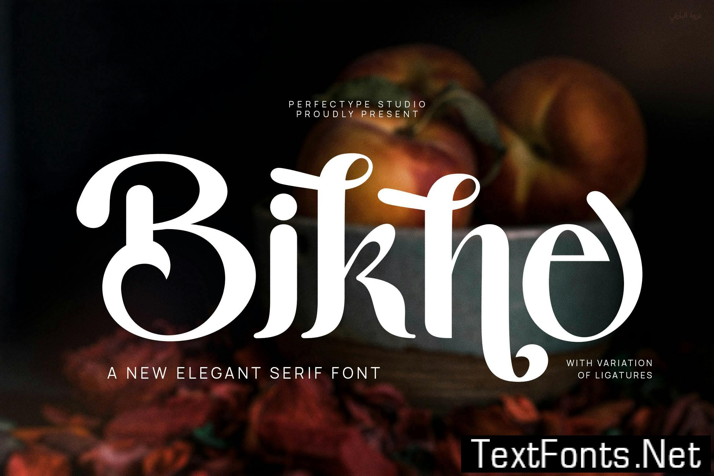 Bikne Elegant Serif Font Typeface EVDUKAR